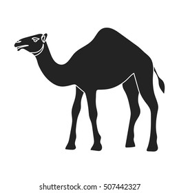 Camel icon in black style isolated on white background. Arab Emirates symbol stock vector illustration.