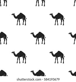 Camel icon in black style isolated on white background. Arab Emirates pattern stock vector illustration.