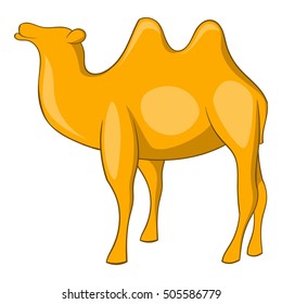 Camel icon. Cartoon illustration of camel vector icon for web design