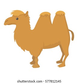 Camel icon. Cartoon illustration of camel vector icon for web