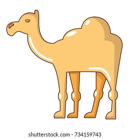 Camel icon. Cartoon illustration of camel vector icon for web