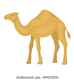 Camel icon in cartoon style isolated on white background. Arab Emirates symbol stock vector illustration.