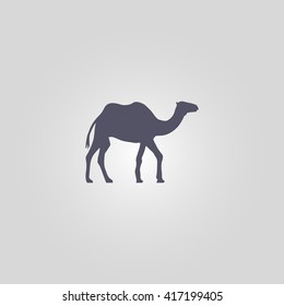 camel icon. desert animal