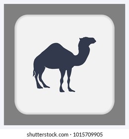camel icon. desert animal. Flat design style.
