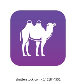 Camel icon digital purple for any design isolated on white vector illustration