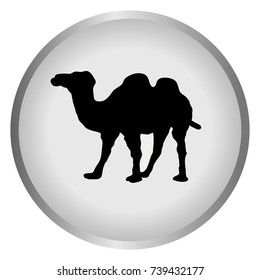 Camel icon flat. Simple vector symbol on a grey background.Vector illustration