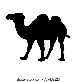 Camel icon flat. Simple vector symbol on a white background