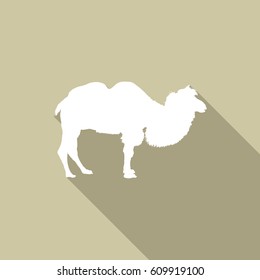 Camel icon, flat style design
