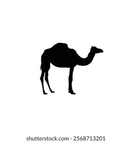 Camel icon flat vector design