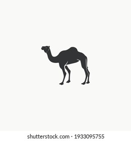 Camel icon graphic design vector illustration