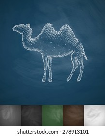 camel icon. Hand drawn vector illustration. Chalkboard Design