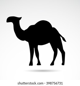 Camel icon isolated on white background. Vector art.