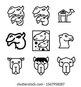 camel icon isolated sign symbol vector illustration - Collection of high quality black style vector icons
