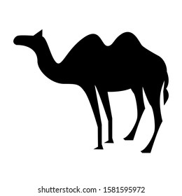 camel icon isolated sign symbol vector illustration - high quality black style vector icons
