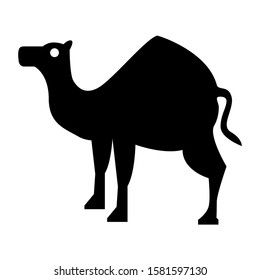 camel icon isolated sign symbol vector illustration - high quality black style vector icons
