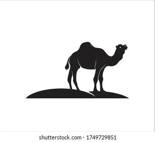 camel icon isolated sign symbol vector illustration - high quality black style vector icons