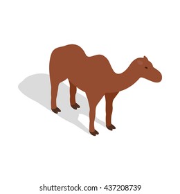 Camel icon in isometric 3d style