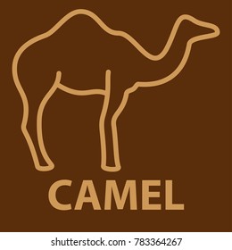 Camel icon in linear style. One humpback camel logo template. Vector illustration.