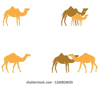Camel icon logo design vector illustration