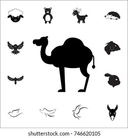 camel icon. Set of animal icons. You can use in web or app icons on white background