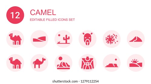 camel icon set. Collection of 12 filled camel icons included Camel, Dunes, Desert, Dromedary, Dune, Traditional