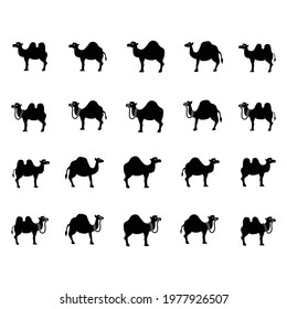 Camel Icon Set Vector On Trendy Design.