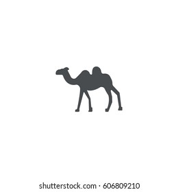 camel icon. sign design