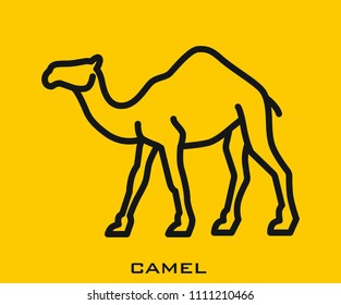 Camel icon signs