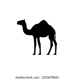 Camel icon silhouette, Camel graphic icon. Camel black sign isolated on white background. Camel symbol of desert. Vector illustration