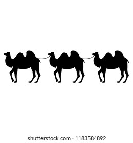 Camel icon, silhouette, logo on white background