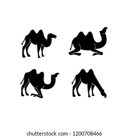 Camel icon silhouette vector illustration