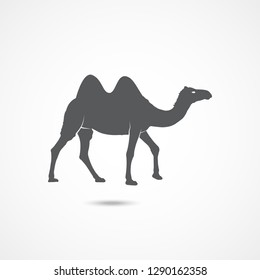 Camel icon silhouette vector illustration