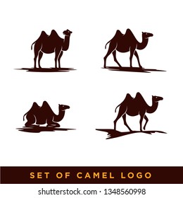 Camel icon silhouette vector illustration
