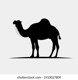 Camel icon silhouette vector illustration