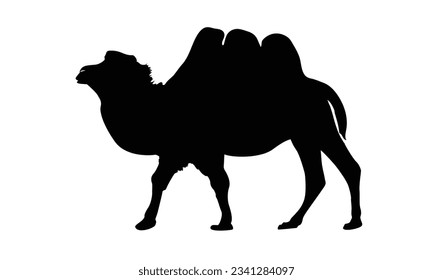 camel icon silhouette vector illustration