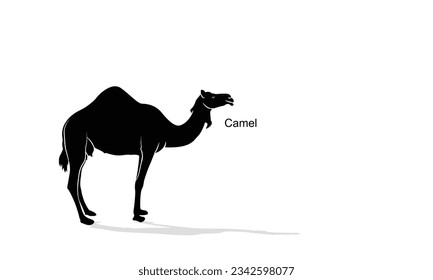 ilustración vectorial de silueta de icono de camello. logotipos, emblemas, insignias. Aislado sobre fondo blanco.