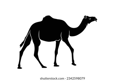 camel icon silhouette vector illustration. logos, emblems, badges. Isolated on white background.