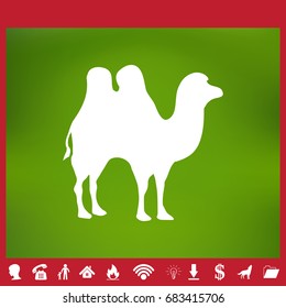 Camel icon silhouette vector illustration