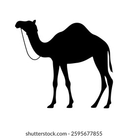 Camel icon  silhouette vector icon sign symbol illustration design.