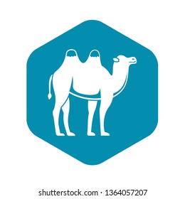 Camel icon. Simple illustration of camel vector icon for web