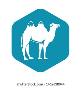 Camel icon. Simple illustration of camel vector icon for web