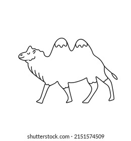 Camel icon symbol outline vector illustration.