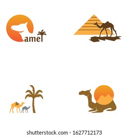 Camel icon and symbol vector illustration