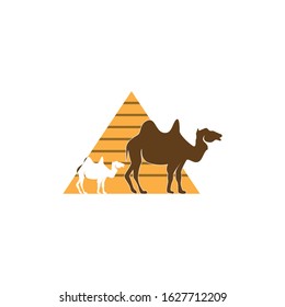 Camel icon and symbol vector illustration
