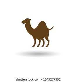 Camel icon. Vector concept illustration isolated on white