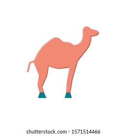 camel icon vector flat style design