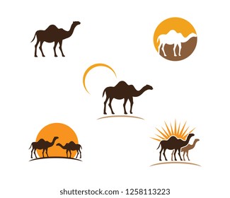 Camel Icon Vector illustration design