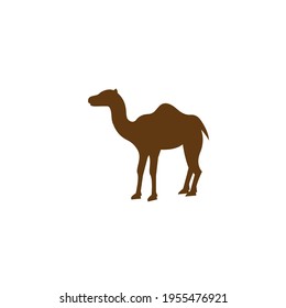 camel icon vector illustration design template web