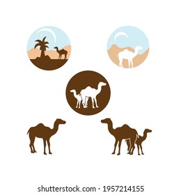 camel icon vector illustration design template web