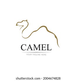 Camel Icon Vector illustration design